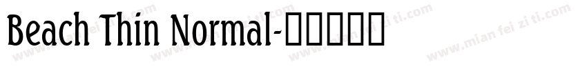 Beach Thin Normal字体转换
